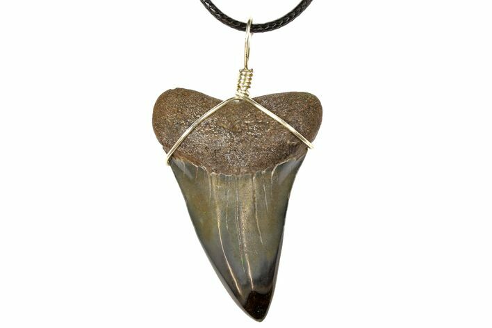 Fossil Mako Shark Tooth Necklace #130928